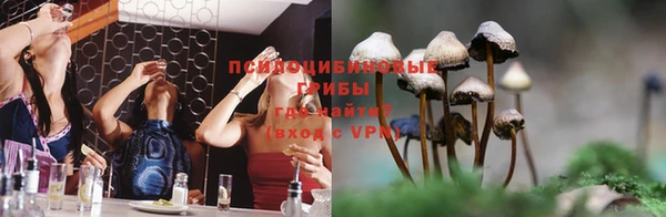 марки lsd Богородицк