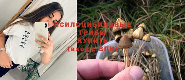 мескалин Богородск