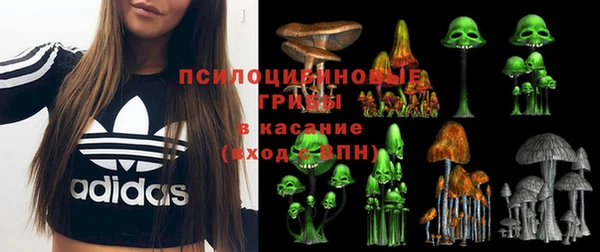 героин Богданович