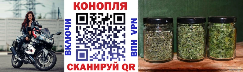 KRAKEN ссылки  Гороховец  МАРИХУАНА OG Kush 